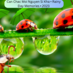 Can Chac Moi Nguyen Si Kha • Rainy Day Memories • 2023