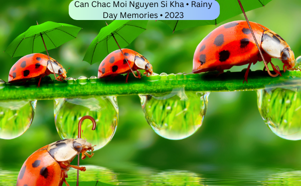 Can Chac Moi Nguyen Si Kha • Rainy Day Memories • 2023