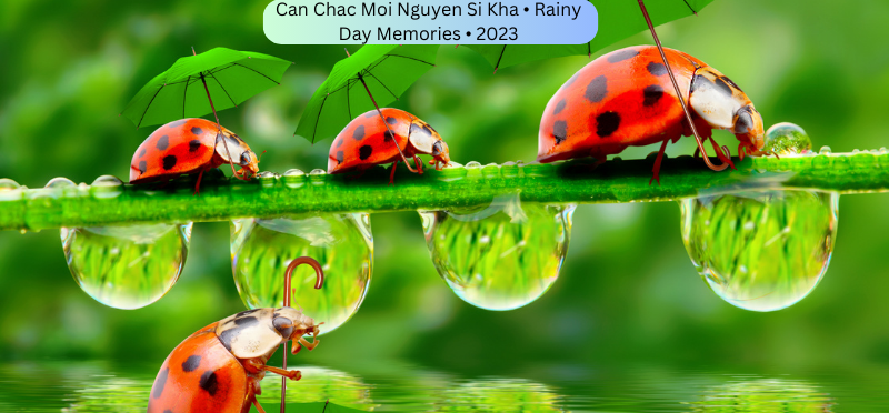 Can Chac Moi Nguyen Si Kha • Rainy Day Memories • 2023